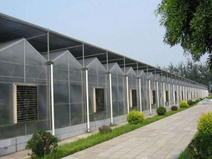 陽(yáng)光板溫室