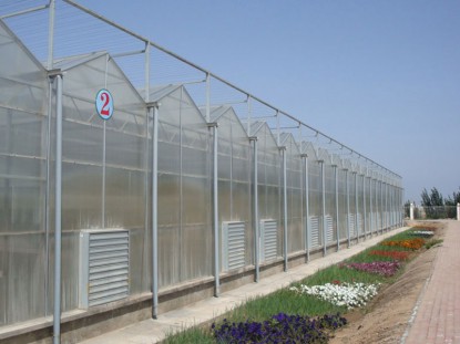 單體陽光板溫室