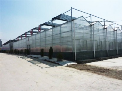 單體陽光板溫室