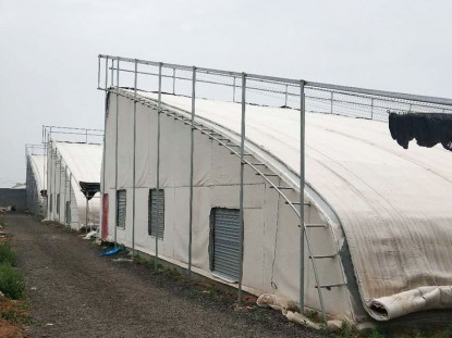 幾字鋼日光溫室