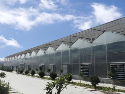 陽(yáng)光板溫室