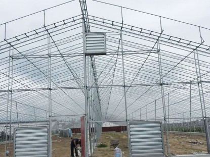 幾字鋼日光溫室