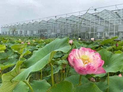 紋絡(luò)溫室生態(tài)餐廳