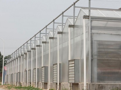 單體陽光板溫室