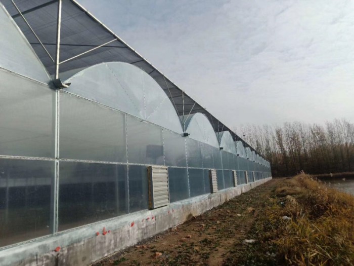 連棟薄膜溫室
