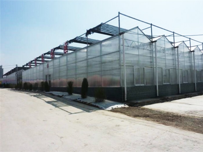 智能陽光板溫室