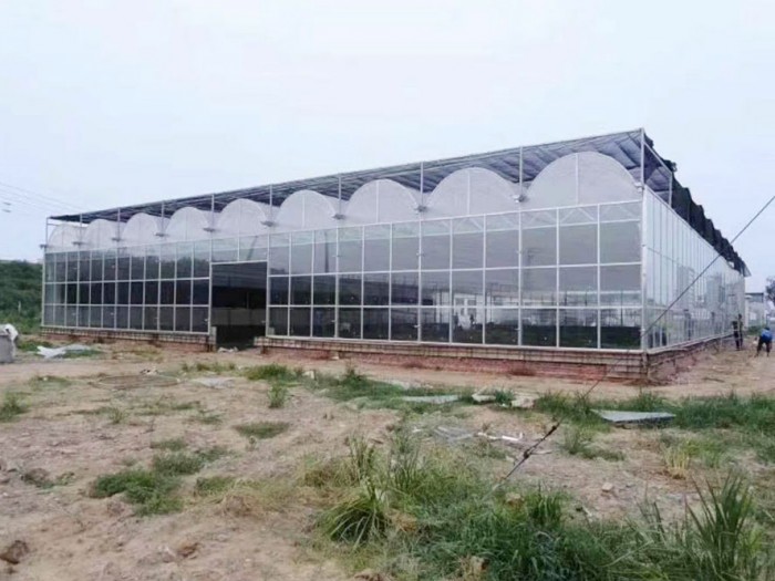拱形薄膜溫室