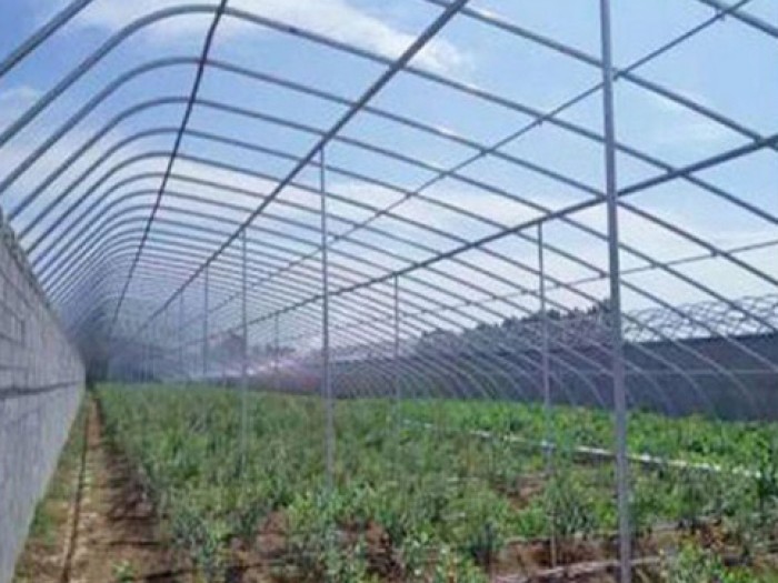幾字鋼日光溫室