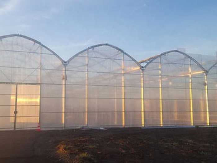 單體陽(yáng)光板溫室