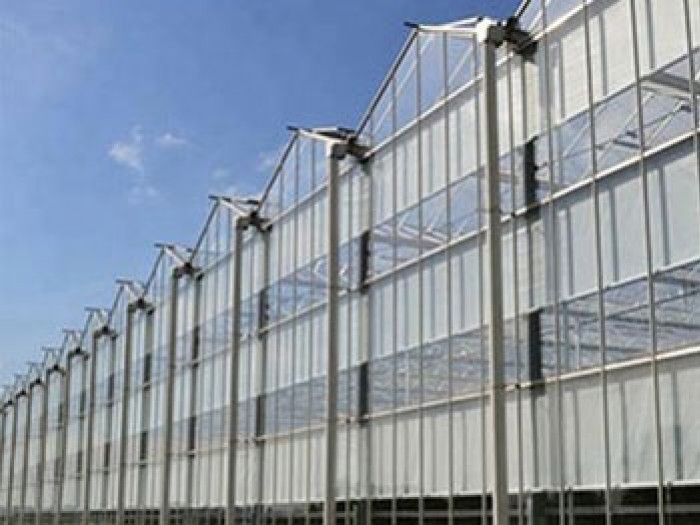 單體陽光板溫室