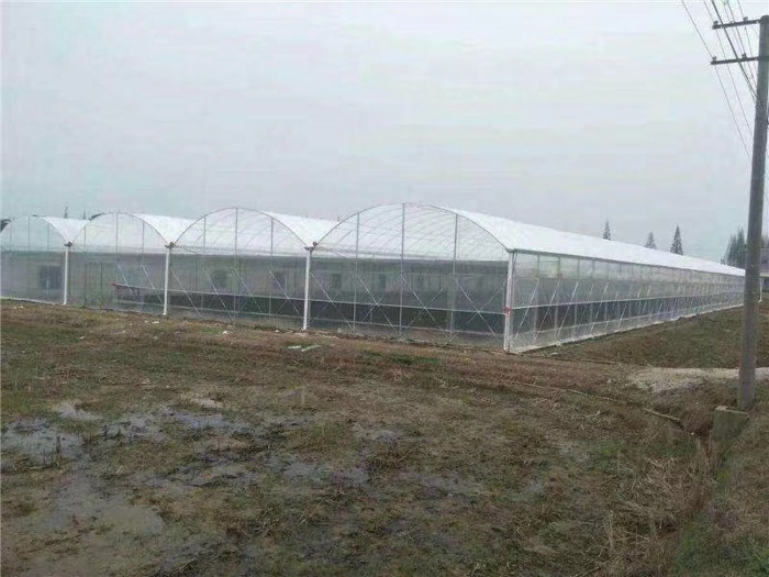 單棟薄膜溫室