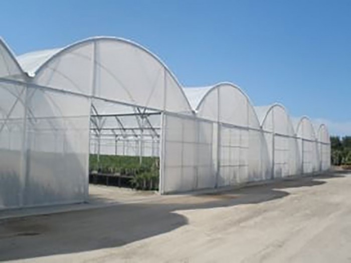 單棟薄膜溫室