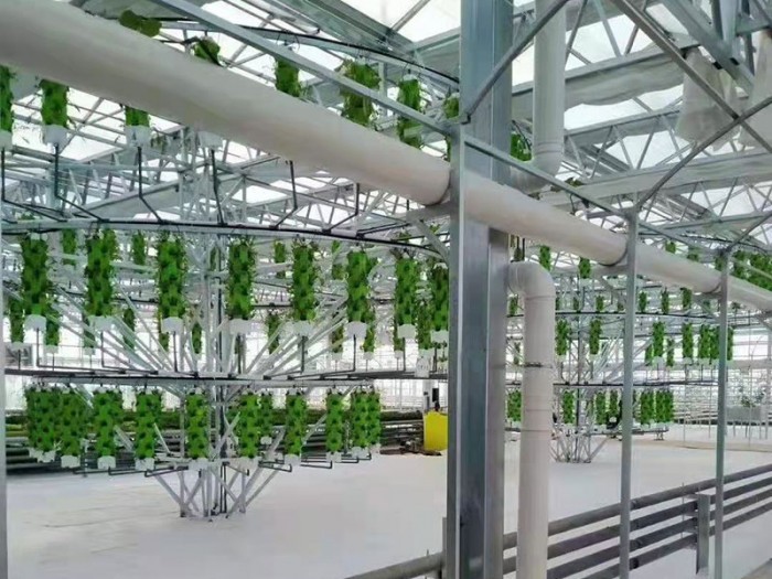 連棟薄膜生態餐廳