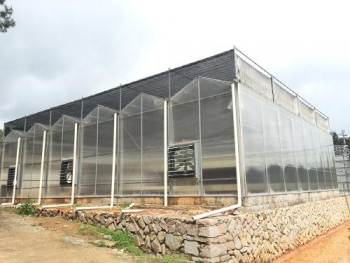 智能陽光板溫室