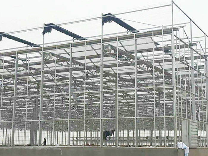 工程案例-青州市澤源農業科技有限公司