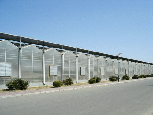 工程案例-青州市澤源農業科技有限公司