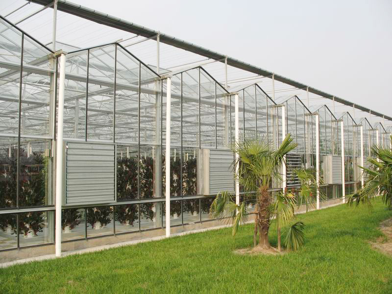 工程案例-青州市澤源農業科技有限公司